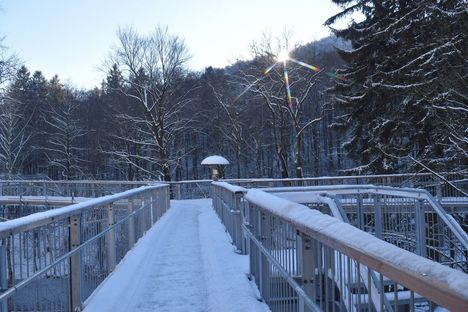 Winter am Baumwipfelpfad