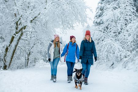 Winterliches Hahnenklee