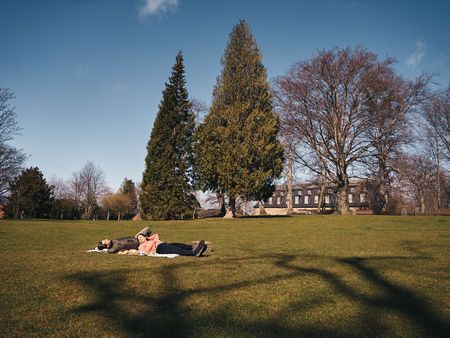 Picknick auf der Wiese